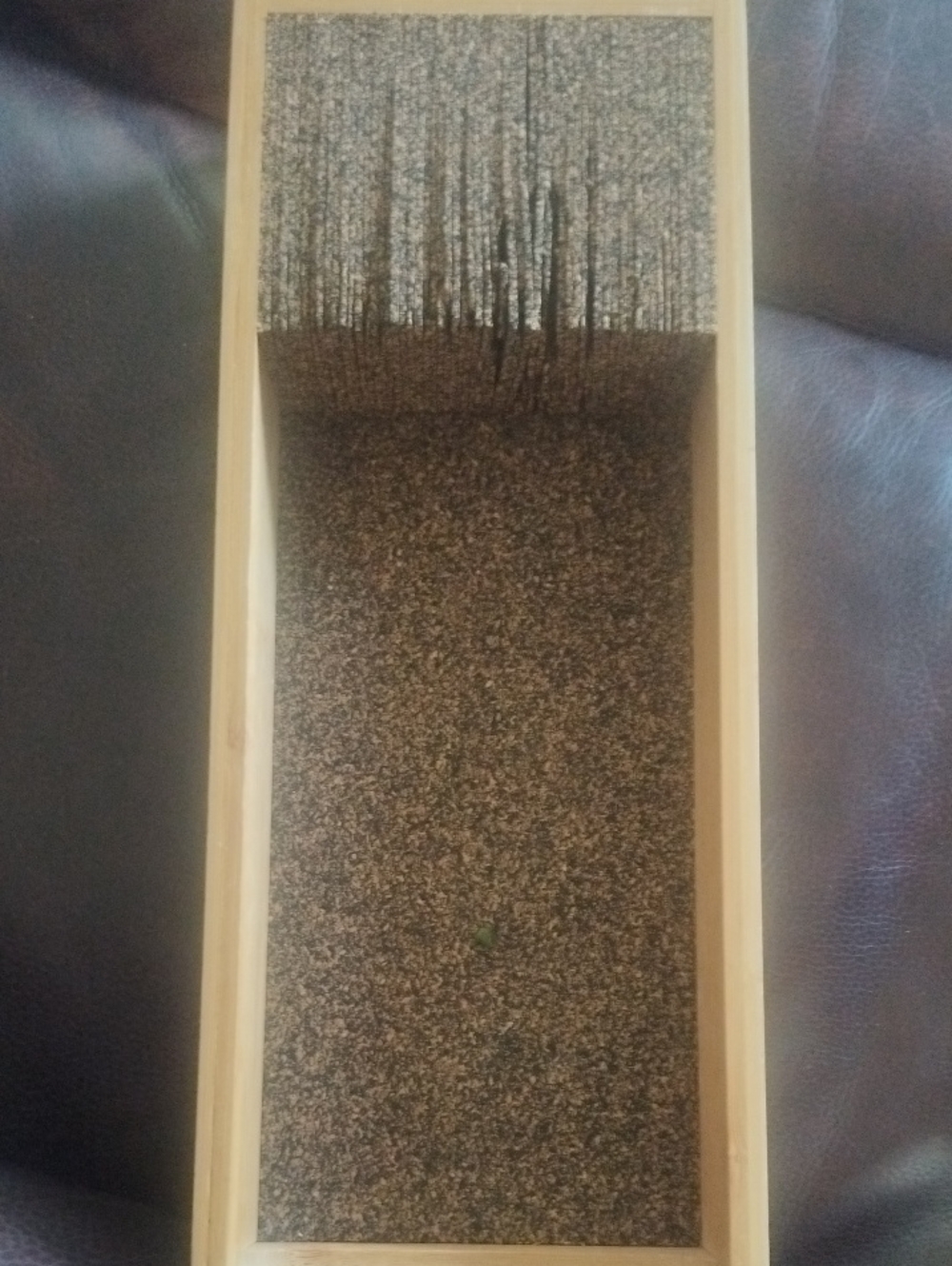 Bamboo Knife Organizer